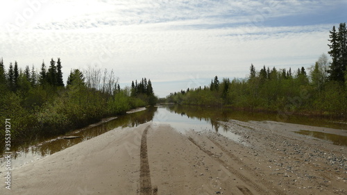 the flooded forest during the spring flood © Владислав Вольхин