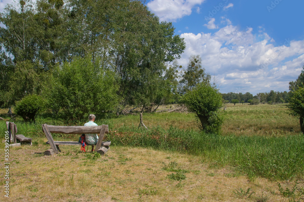 A resting place with view to the wilderness in Nuthe-Nieplitz Nature Park in federal state Brandenburg - Germany A resting place with view to the wilderness in Nuthe-Nieplitz Nature Park in federal state Brandenburg - Germany