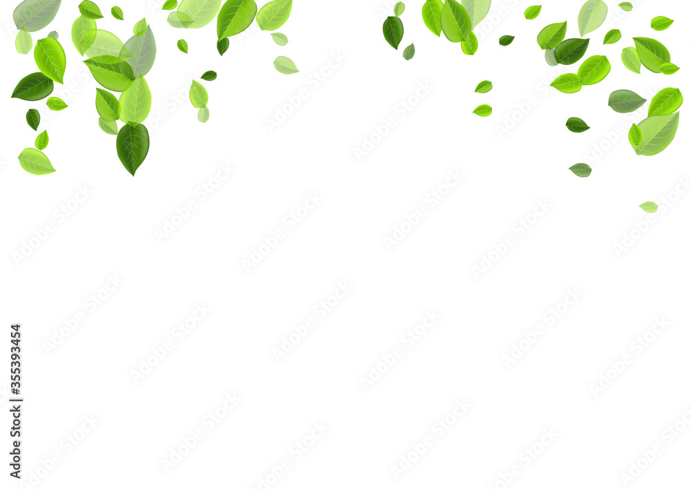 Forest Foliage Tea Vector Illustration. Blur Leaf Forest Foliage Tea Vector Illustration. Blur Leaf