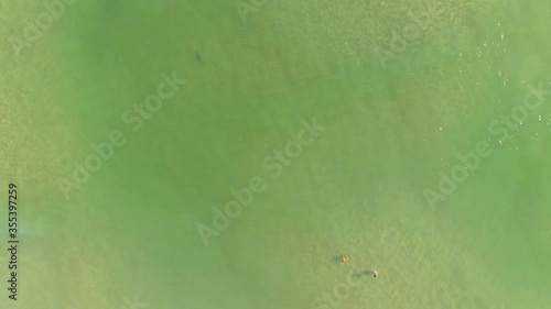 Danger, Shark In The Emerald Waters Near Two Swimmers, Aerial Shot Over The Ocean photo