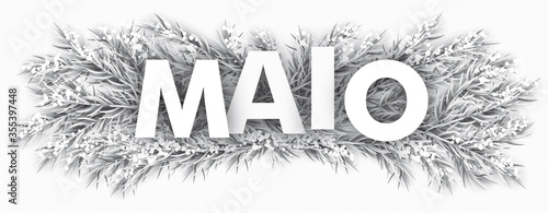 Frozen Fir Twigs Maio