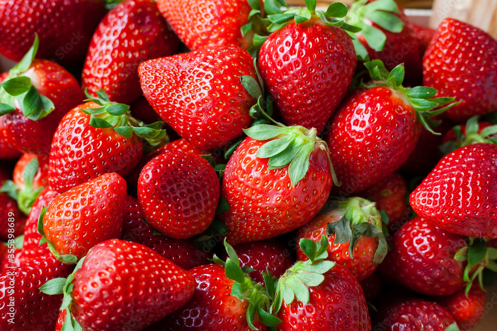 Seasonal organic strawberries grouped freshly harvested with green leaves and natural imperfections. Healthy food backgrounds. Seasonal organic strawberries grouped freshly harvested with green leaves and natural imperfections. Healthy food backgrounds.