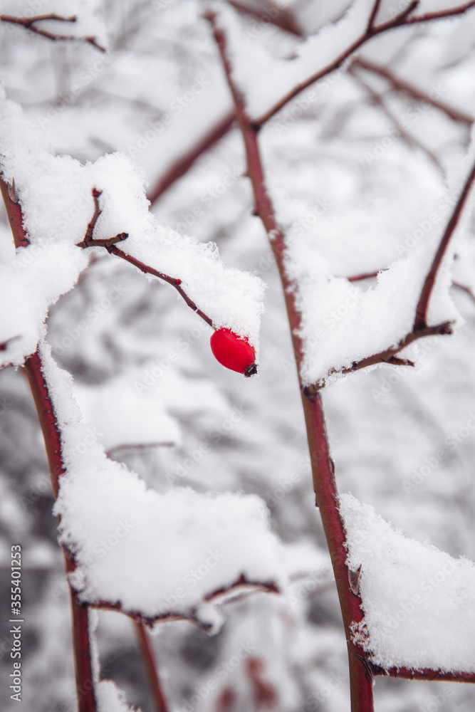 Beautiful winter views in mountains. Still life photography shoots. Beautiful winter views in mountains. Still life photography shoots.