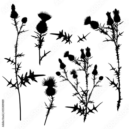 A collection with a variety of silhouettes of thistles. Vector illustration on white background.