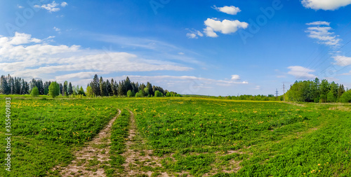 Panorama summer landscape in the field. Russian open spaces. Summer landscape. Flowers in the field. Blue sky. Copy spase