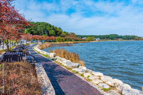 Lakeside promenade alongside Gyeongpo lake in Gangneung, Republic of Korea photo