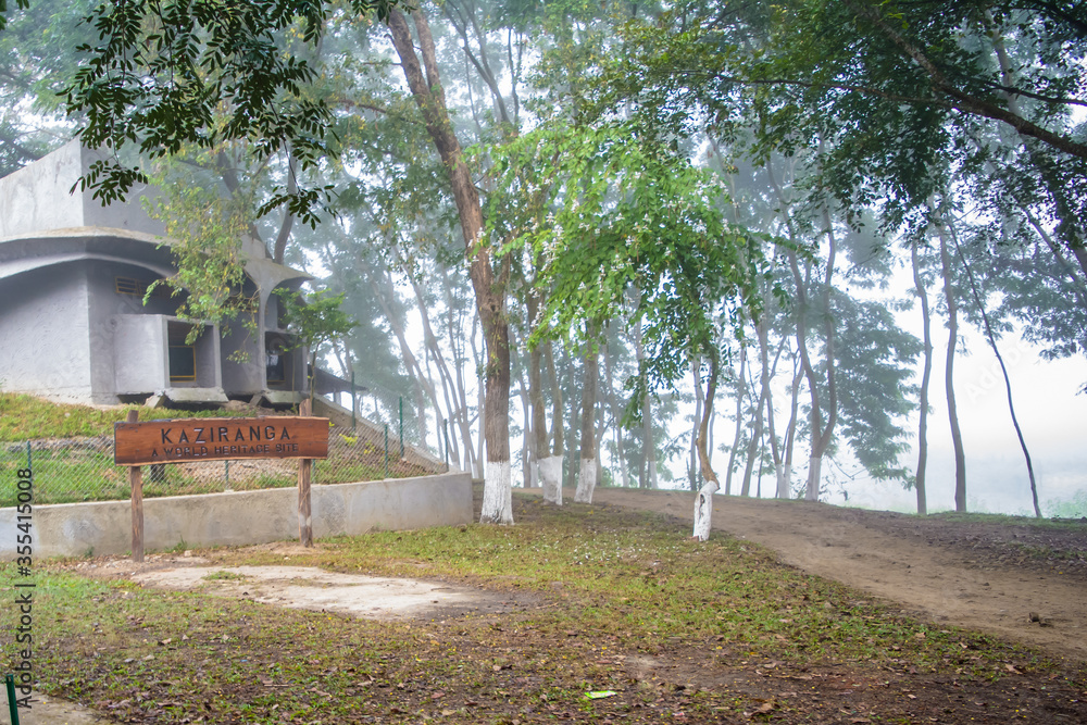 Fototapeta premium Inside view of Kaziranga National Park of northeast Indian state of Assam. Watchtower of Kaziranga National Park.
