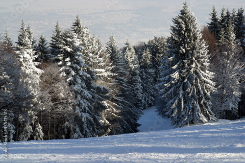 Winter landscape trees under snow on the mountain Pohorje, Slovenia © zatletic