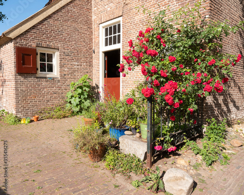 Fototapeta Naklejka Na Ścianę i Meble -  red roses against very old farmhouse in old town of bronkhorst in the netherlands