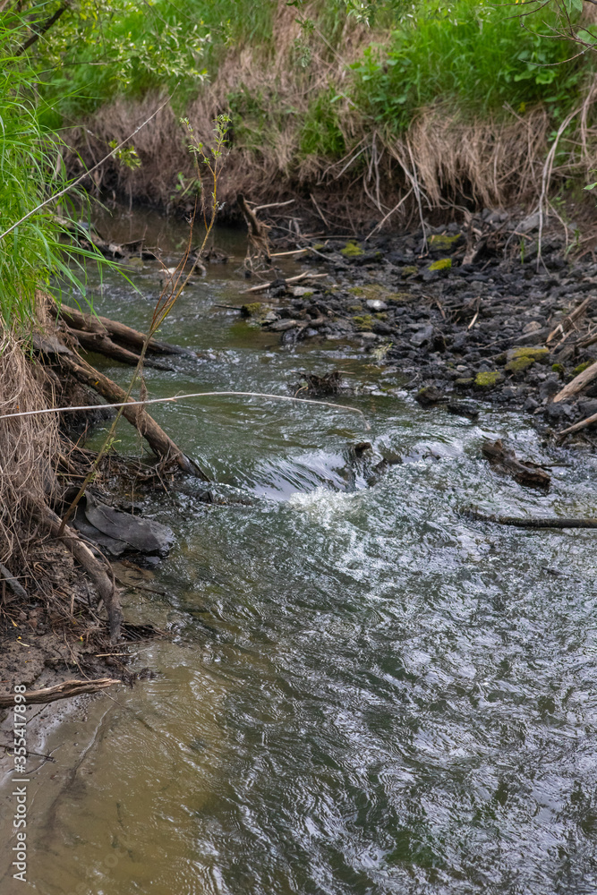 A shallow forest river with a wild view. Forest small river wild landscape. Wild river stream branches. Forest stream threshold view. A shallow forest river with a wild view. Forest small river wild landscape. Wild river stream branches. Forest stream threshold view.