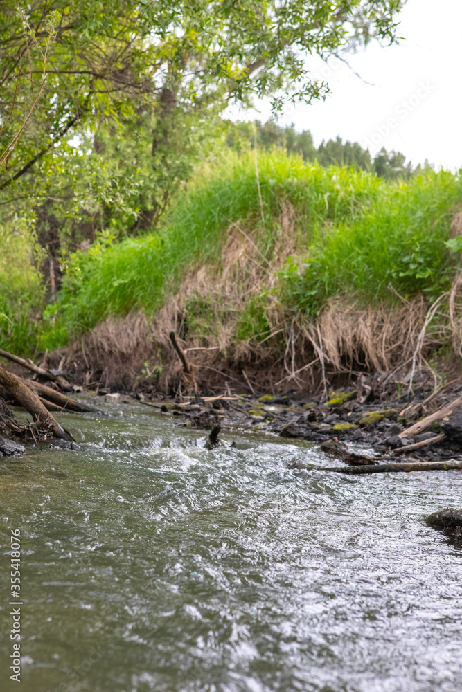 A shallow forest river with a wild view. Forest small river wild landscape. Wild river stream branches. Forest stream threshold view. A shallow forest river with a wild view. Forest small river wild landscape. Wild river stream branches. Forest stream threshold view.