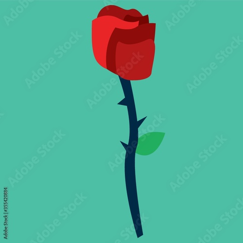 red rose