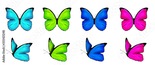 Butterflies Blue Green and Pink color, Set butterflies beautiful with wings spread and in flight isolated on white background, close-up macro