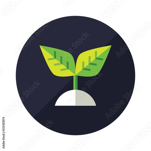 sapling