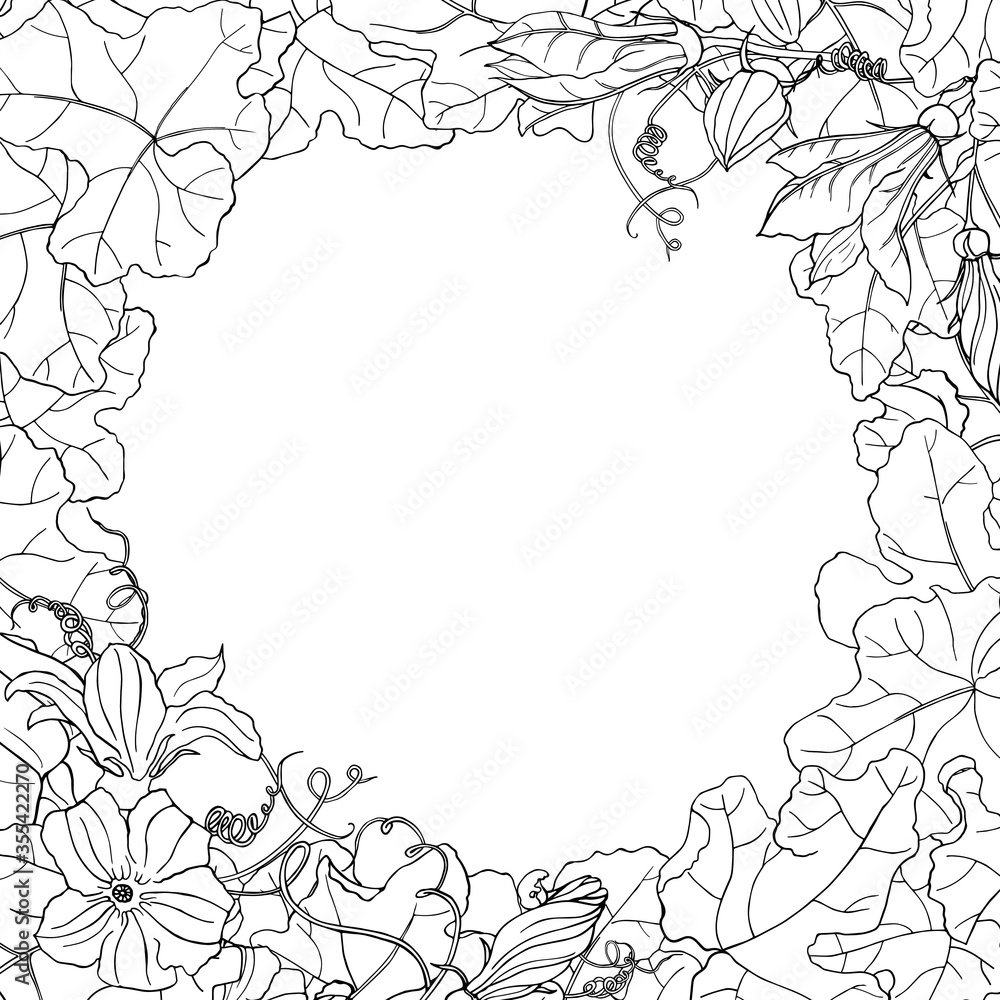 Obraz premium Vector square black and white autumn card. Square frame of leaves and flowers of pumpkin on white background. Hand line drawing. Template for Thanksgiving greeting card, Harvest festival invitation.