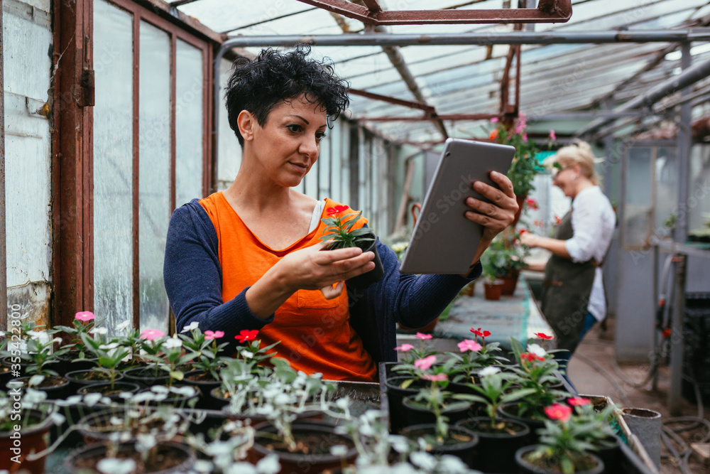 women working in flower nursery.small family business concept