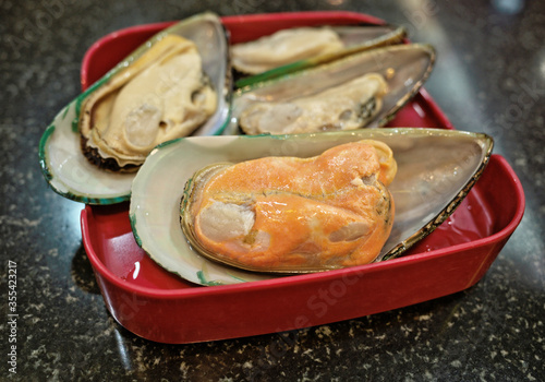 Fresh New Zealand green-lipped mussel (New Zealand mussel) ,greenshell mussel (Perna canaliculus) is edible bivalve mollusc ,that is famous seafood can be smoked, boiled, steamed photo