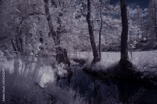 infrared photography - ir photo of landscape with tree under sky with clouds - the art of our world and plants in the infrared camera spectrum © klickit24