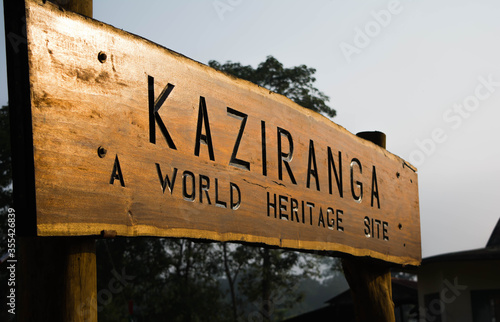 Inside view of Kaziranga National Park of northeast Indian state of Assam. Watchtower of Kaziranga National Park.  © H K Singh