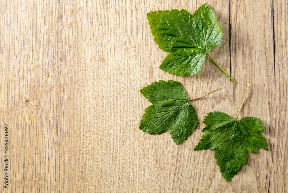 Green leaves from a tree on a wooden table. Green leaves from a tree on a wooden table.