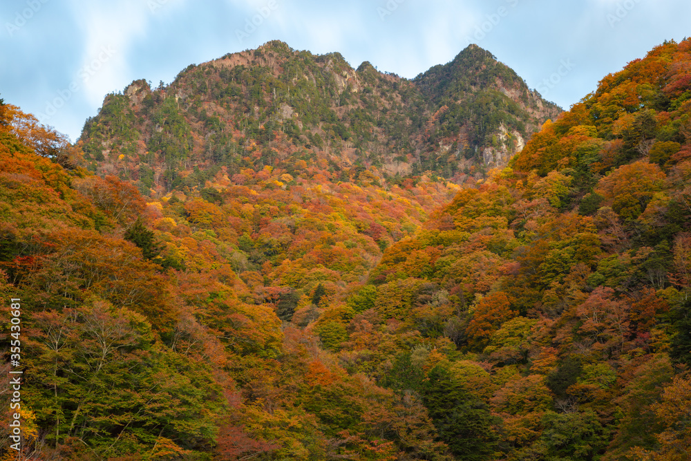 【2019年】西沢渓谷・鶏冠山