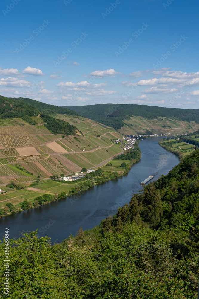 Obraz premium With the bike on the cycle path through the countryside along the river Moselle in Rhineland-Palatinate from Trier to Koblenz in summer