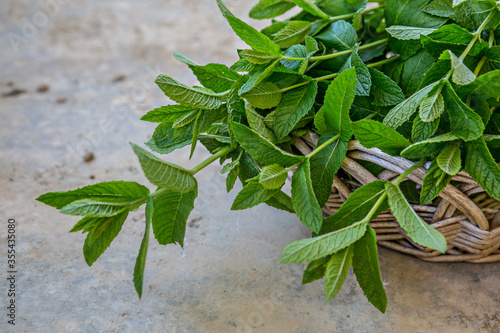 mint plant in a wicker basket