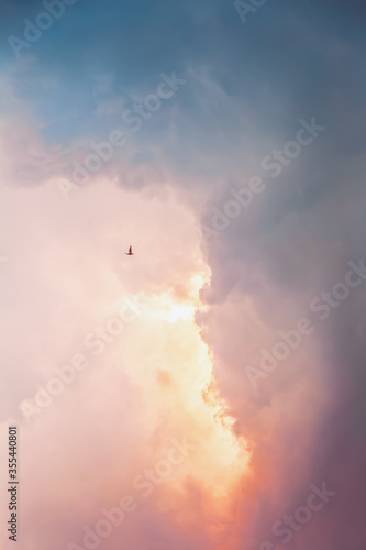 Colorful sky landscape with dramatic clouds and a flying bird. Background design.