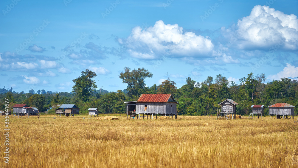 Stilt houses at the rice fields of Kaoh Peak village in Cambodia Stilt houses at the rice fields of Kaoh Peak village in Cambodia