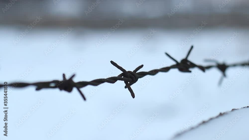 barbed wire sways in the wind, snowflakes fly near it barbed wire sways in the wind, snowflakes fly near it