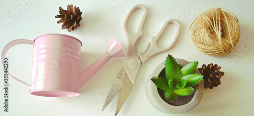 Flat lay of gardening tools including scissors  watering can  jute   succulent against white wooden background. Spring work. Gardening practice. DIY.