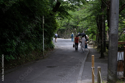Wallpaper Mural 紫陽花 Torontodigital.ca