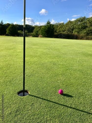 Ladies pink golf ball very near the pin - birdie concept.