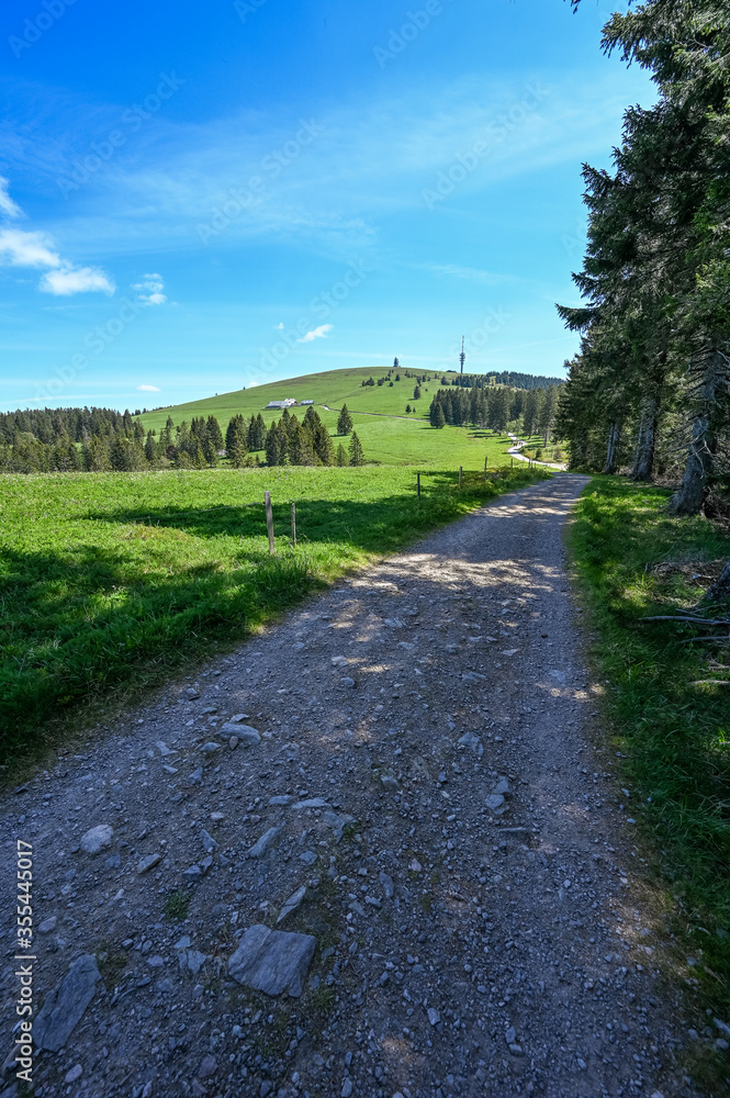 Path to the Feldberg, highest mountain in the Black Forest in Germany