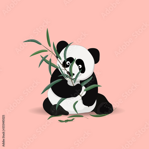 Fototapeta Naklejka Na Ścianę i Meble -  A cute panda sits and eats eucalyptus leaves. Vector illustration on a pink background.
