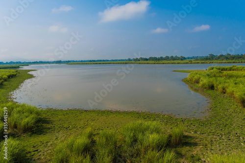 Landscape of lake and river in the morning time with fog at Kaziranga national park  Assam  India. 