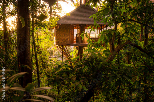 Sunset picture of a wooden tree house in the jungle and tropical rainforest
