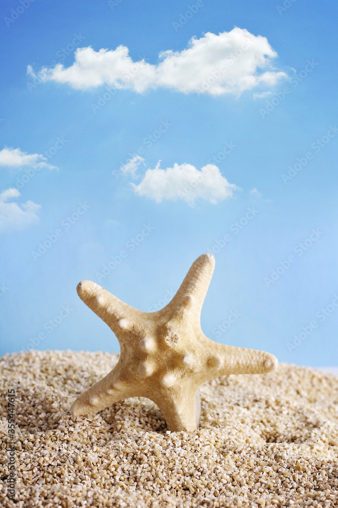 seashells on sand beach. blue sky, vacation and travel concept