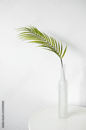 green plant in a vase
