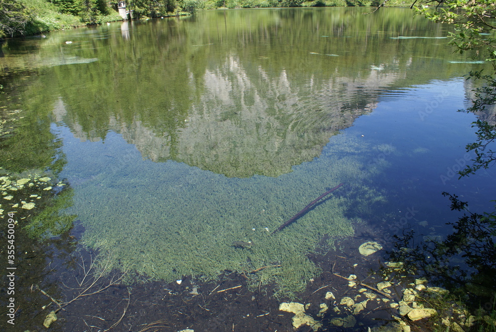 Green lake ( Grüner See ) Alps of Austria Green lake ( Grüner See ) Alps of Austria