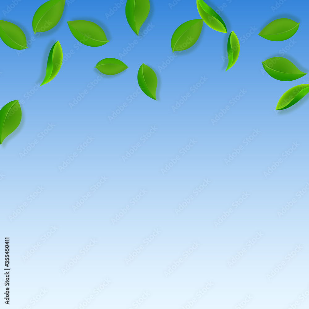 Falling green leaves. Fresh tea neat leaves flying Falling green leaves. Fresh tea neat leaves flying