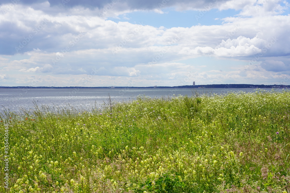 Sonnige, grüne Wiese an der Ostsee bei Sierksdorf mit Panoramablick über die Lübecker Bucht