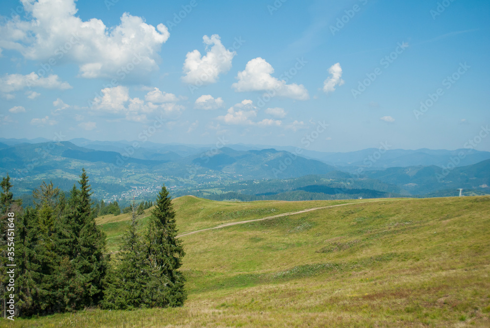 View of the summer Carpathians
