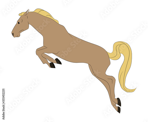 horse vector illustration, color illustration, vector