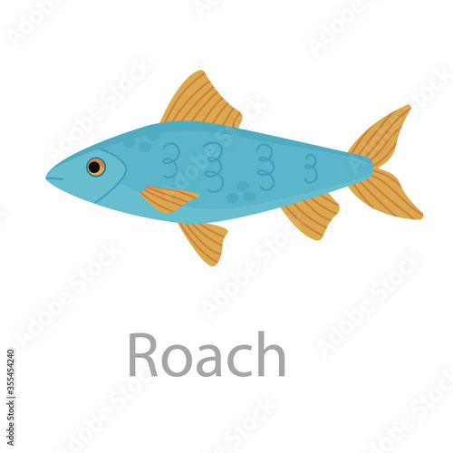 Cute blue roach fish vector flat illustration. River animal swimming isolated on white background. Colorful cartoon clipart for design.