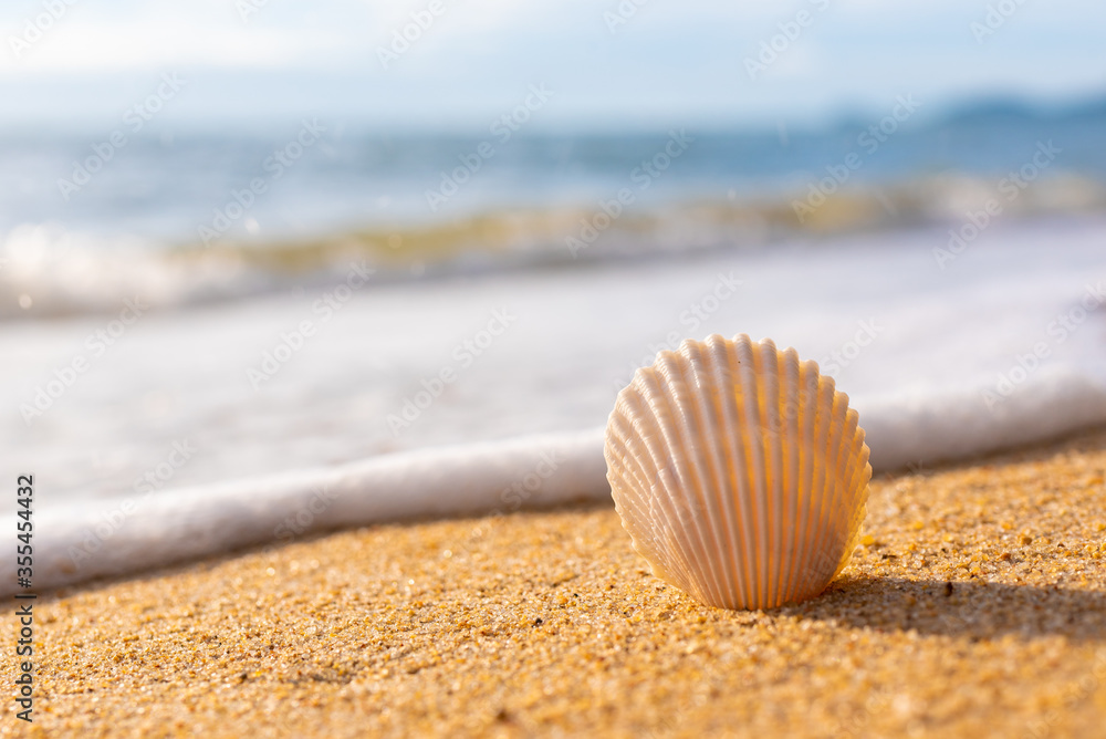 Obraz premium seashell in focus on a blurry background of the sea of the beach, a paradise in Thailand on Koh Samui, vacation on the island