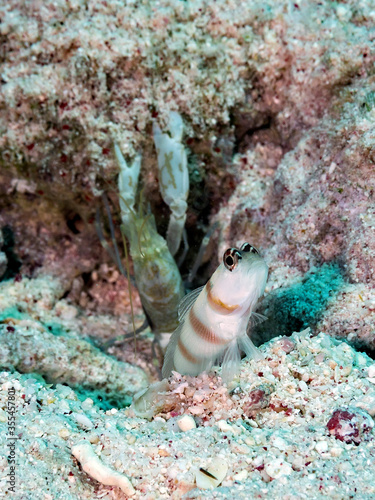 Wallpaper Mural OLYMPUS DIGITAL CAMERA Torontodigital.ca