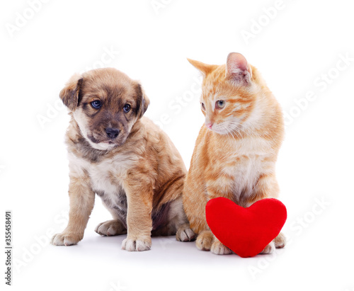 Fototapeta Naklejka Na Ścianę i Meble -  Cat and dog with a toy heart.