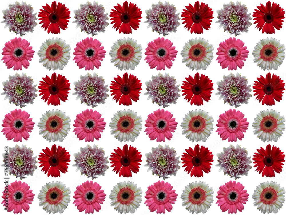 Floral pattern or Flower pattern with a white background. Beautiful flowers pattern.