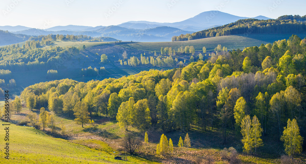 Panoramic view of mountains covered with green forest. Spring landscape. Morning light, haze.